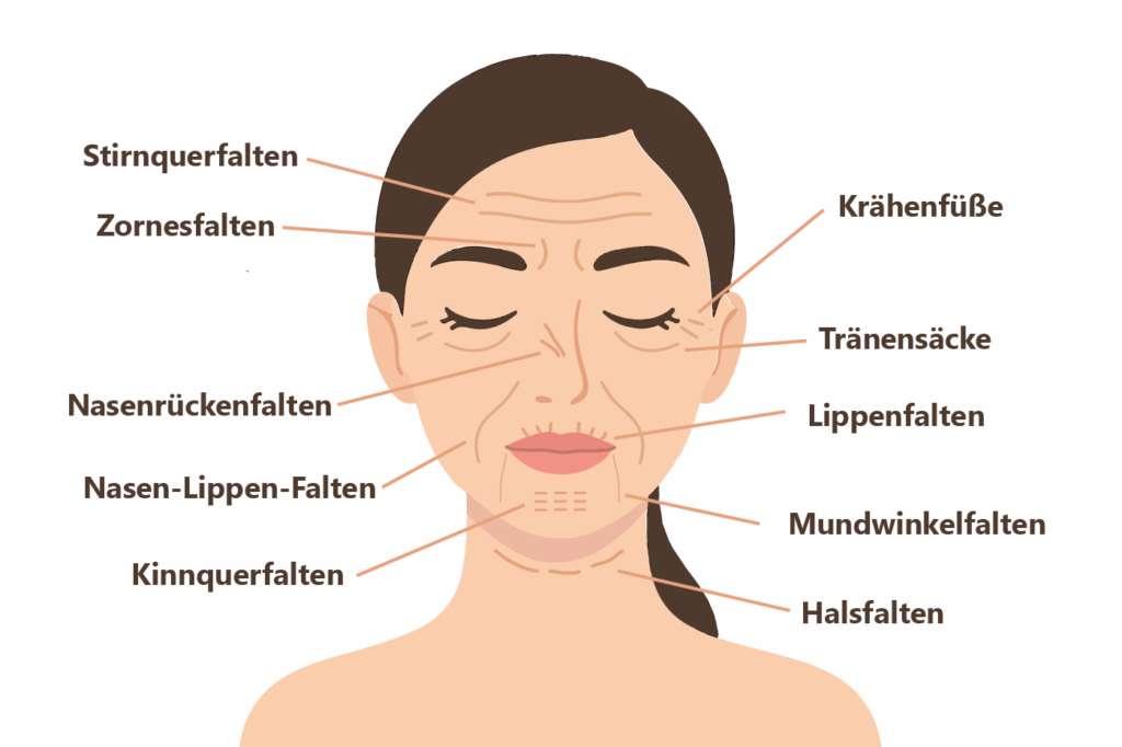 Vorschaubild für die Indikationen einer Faltenbehandlung